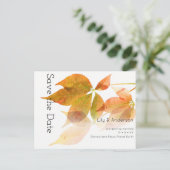 Schöne, moderne, farbenfrohe Herbstlaube | weiß Postkarte (Stehend Vorderseite)