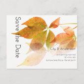 Schöne, moderne, farbenfrohe Herbstlaube | weiß Postkarte (Vorderseite)