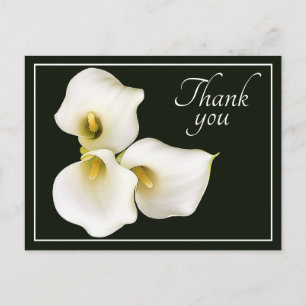 Schöne moderne weiße Calla-Lilie Botanische Danksa Postkarte