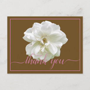 Schöne moderne weiße Rose Botanical Dankeschön Postkarte