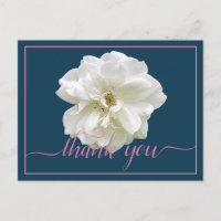 Schöne moderne weiße Rose Botanical Dankeschön