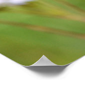 Schöne Monarch Butterfly Blumenfotografie Poster (Ecke)