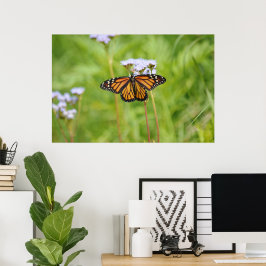 Schöne Monarch Butterfly Blumenfotografie Poster