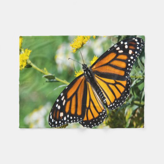 Schöne Monarch Butterfly Fleecedecke (Vorderseite (Horizontal))