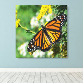 Schöne Monarch Butterfly Leinwanddruck (Insitu (Holzboden))