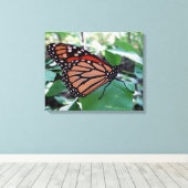 Schöne Monarch Butterfly Leinwanddruck (Insitu (Holzboden))