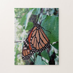 Schöne Monarch Butterfly Puzzle