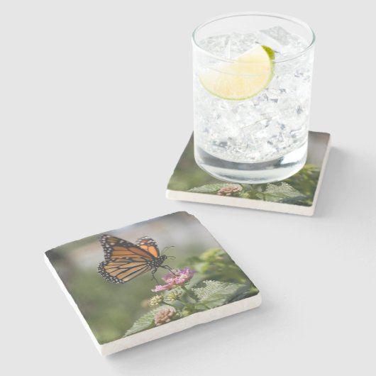 Schöne Monarch Butterfly Steinuntersetzer (Seitenansicht)