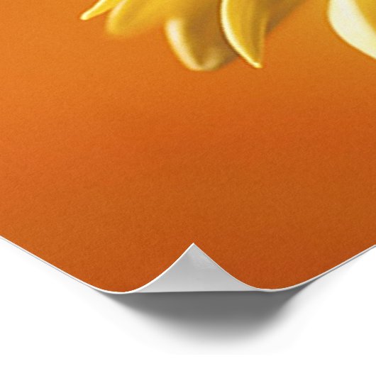 Schöne Monarchschmetterling auf einer Blume drucke (Ecke)