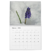 Schöne Monatsgarten-Ansichten Kalender (Feb 2026)