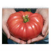 Schöne Monatsgarten-Ansichten Kalender (Titelbild)