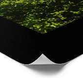 Schöne Moonlight Wilderness Szene Poster (Ecke)