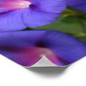 Schöne Morgengläser im Blut Poster (Ecke)