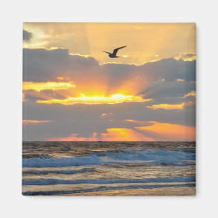 Schöne Morning Beach Sonnenaufgang Landschaft Magn Magnet