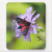 Schöne Moth Mousepad (Vorne)