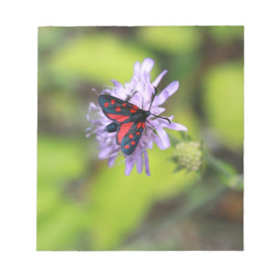 Schöne Moth Notizblock