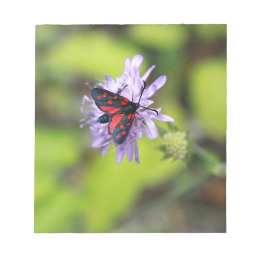 Schöne Moth Notizblock (Vorderseite)
