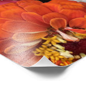 Schöne Mums Fotodruck (Ecke)