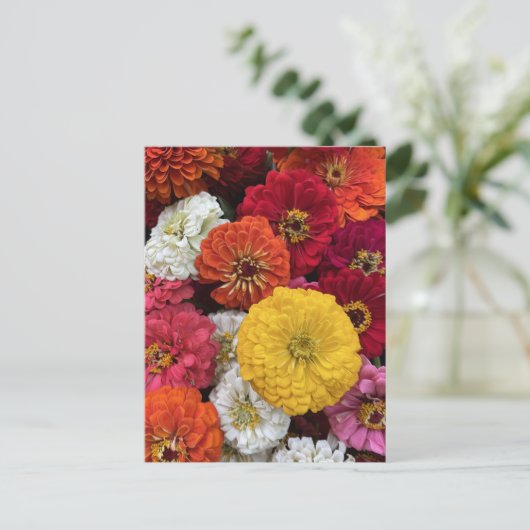 Schöne Mums Postkarte (Stehend Vorderseite)