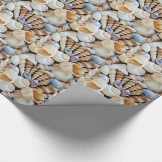Schöne Muscheln, Sommer, Strand, Muscheln Geschenkpapier (Ecke)