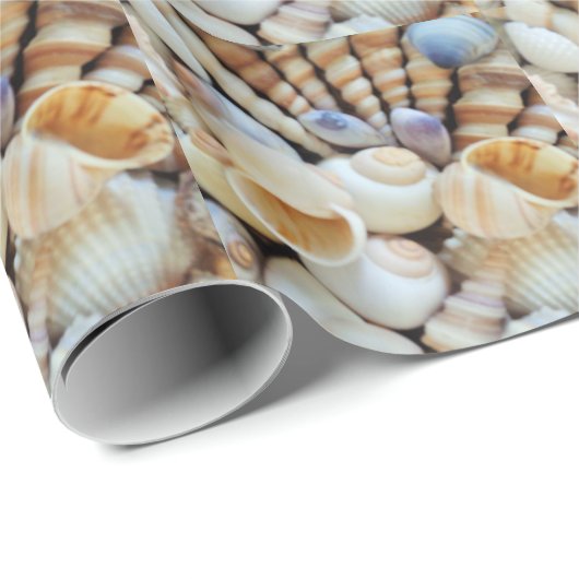 Schöne Muscheln, Sommer, Strand, Muscheln Geschenkpapier (Rolleneckpunkt)
