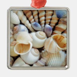 Schöne Muscheln, Sommer, Strand, Muscheln Ornament Aus Metall