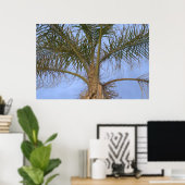 Schöne Nahaufnahme Palme Poster (Heimbüro)