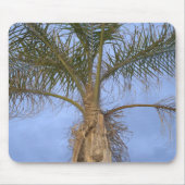 Schöne nahe Aussicht auf Palm Tree Mousepad (Vorne)