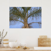 Schöne Nahe Palmenbaume Poster (Küche)