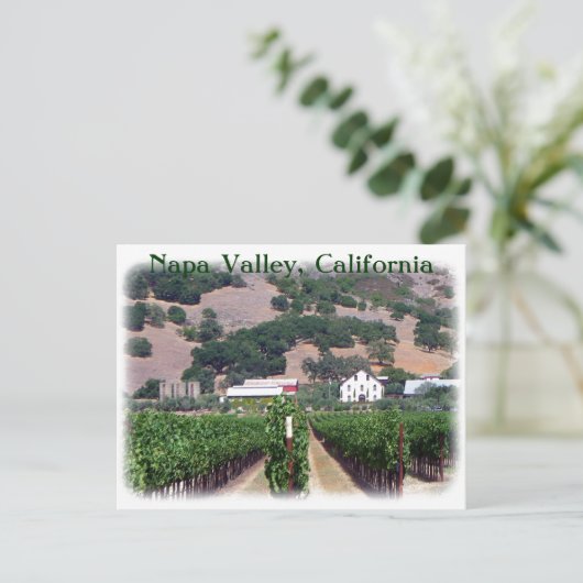 Schöne Napa Valley Postcard! Postkarte (Stehend Vorderseite)