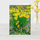 Schöne Narzissenkarte Karte (Gelbe Blume)