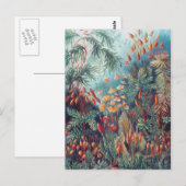 Schöne Natur - Moos Postkarte (Vorne/Hinten)