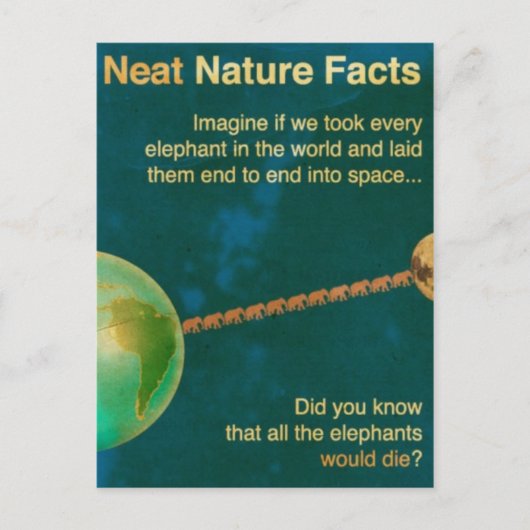 schöne Naturfakte Postkarte (Vorderseite)