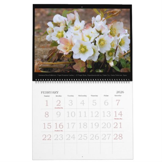 SCHÖNE NATURKALENDER BESTE: Typ-B-レダ Kalender (Feb 2026)