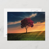 Schöne Naturlandschaft des Baums Postkarte (Vorne/Hinten)