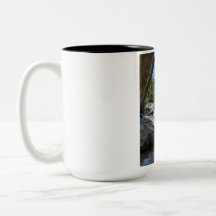 Schöne Naturlandschaft Zweifarbiges Kaffeetasse