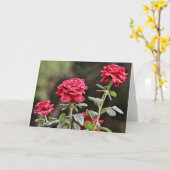 Schöne natürliche Rose Blume Karte (Gelbe Blume)