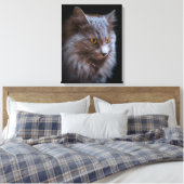 Schöne Nebelung Cat Long Hair Russisch Blue Grau Leinwanddruck (Insitu (Schlafzimmer))