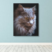 Schöne Nebelung Cat Long Hair Russisch Blue Grau Leinwanddruck (Insitu (Holzboden))