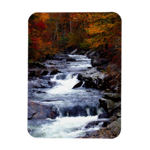 Schöne Nebenflussnaturlandschaft Magnet