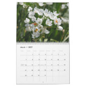Schöne niederländische Blumen Kalender (Mär 2027)