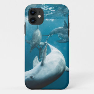 Schöne Niedliche Delphine Case-Mate iPhone Hülle