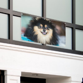 Schöne Niedliche Hunde mit Blick auf die Gartenanl Banner