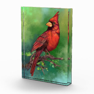 Schöne Northern Red Kardinal Bird Malerei Art Fotoblock
