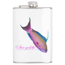 Schöne nuptiale Färbung für Sea Goldy