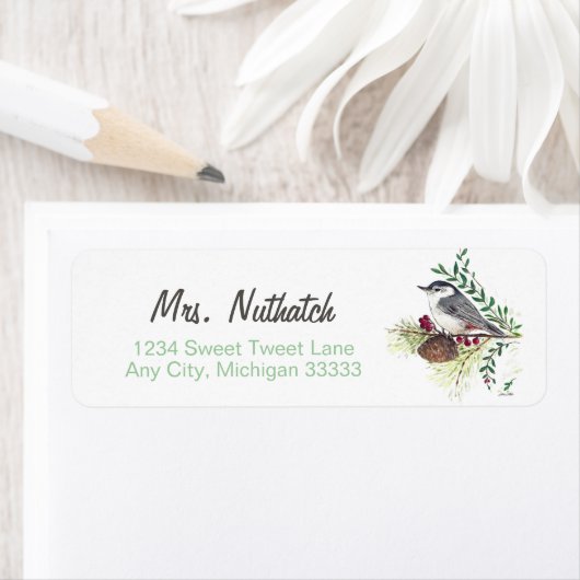 Schöne Nuthatch Art (Insitu)