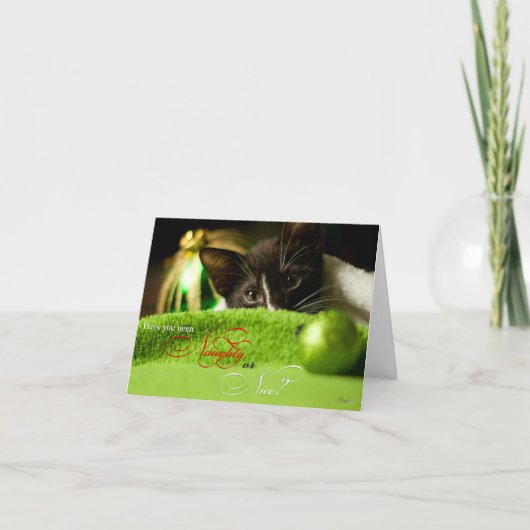 Schöne oder nette Kittenurfkarte Feiertagskarte (Vorderseite)