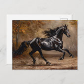 Schöne Ölgemälde für das Schwarze Pferd Postkarte (Vorne/Hinten)