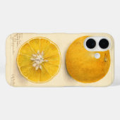 Schöne Orange Artwork Case-Mate iPhone Hülle (Rückseite (Horizontal))