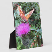 Schöne Orange Butterfly auf der Thistle Blume Fotoplatte (Seite)